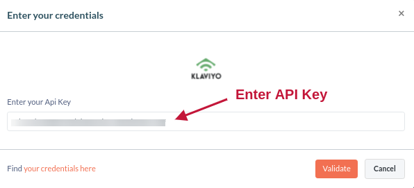 Enter your Klaviyo API Key